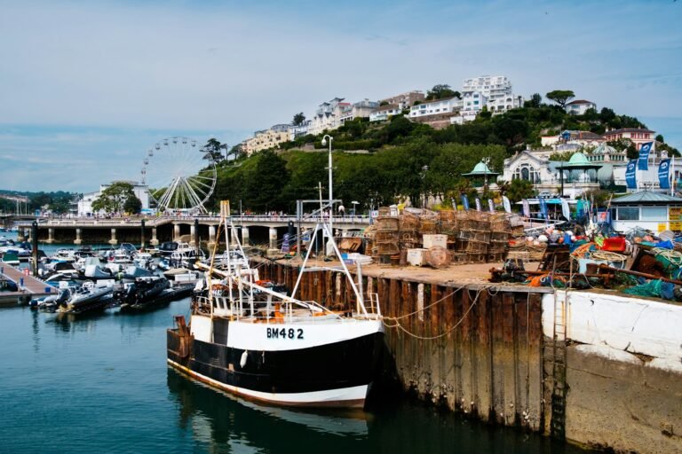 Fishing boat moored in Torquay harbour with the big wheel and hillside villas behind