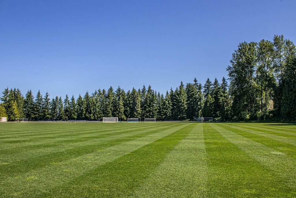 Freshly striped sports pitch turf with trees beyond